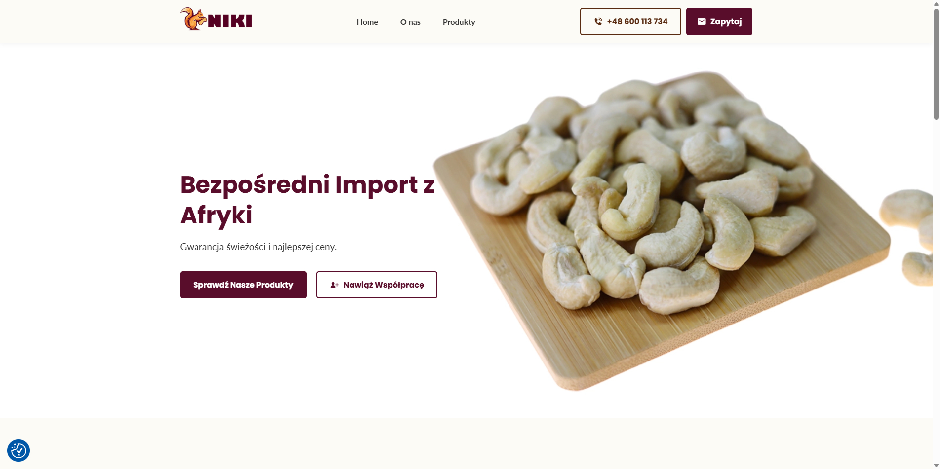 Strona www dla producenta nerkowców